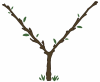 Tree form icon